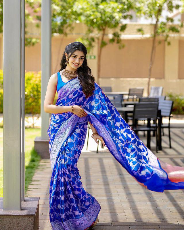 Silk Saree with Traditional Ikat Print and Rich Zari Border